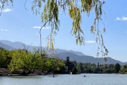 Mendoza_3