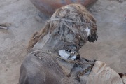 Chauchilla_3