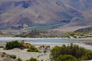 San-Pedro_Ruta-21_6