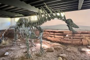 Dinomuseum_2