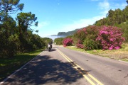 Graciosa_Road_1