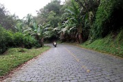 Graciosa_Road_2