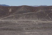 Nazca_3