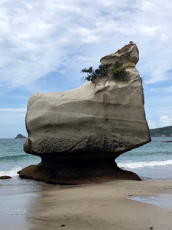 Felsen  bei Cathedral Cove