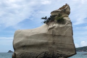 Felsen  bei Cathedral Cove