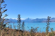 Mount Cook vom Straßenrand