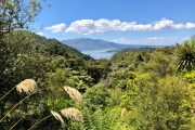 Waimangu Valley