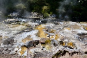 Heiße Quellen im Waimangu Valley