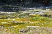 Heiße Gewässer im Waimangu Valley