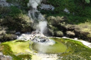 Heiße Gewässer im Waimangu Valley