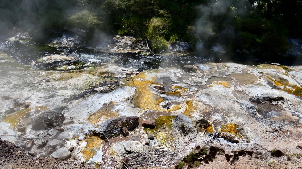 Heiße Quellen im Waimangu Valley