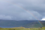 Regenbogen