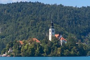 Insel-Blejski-im-See-Bled