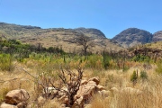 Im Hinterland zwischen Clanwilliam und Wupperthal