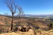 Landschaft im Western Cape