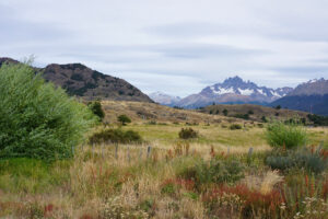 Read more about the article Zurück in Patagonien!
