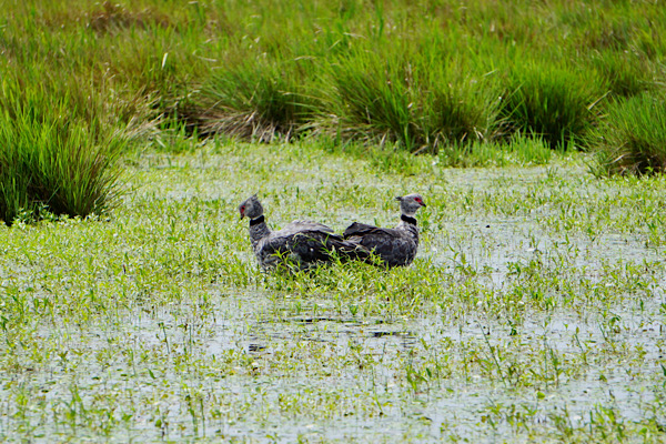 You are currently viewing Wasser, Wasser und zu viel Wasser